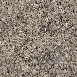 High Resolution Seamless Soil Texture 0001